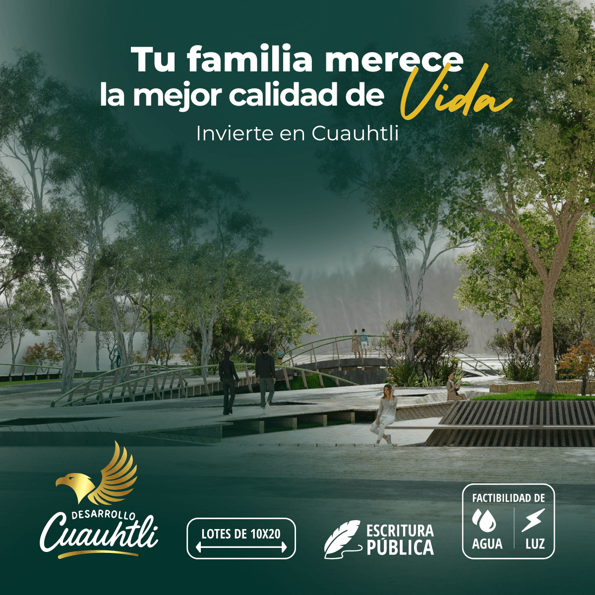 Vista panorámica del desarrollo